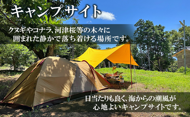 今井浜オレンジヒルズフィールド 施設利用券 10,000円分 利用券 チケット キャンプ 宿泊券 宿泊チケット クヌギ コナラ 河津桜 コテージ 海水浴 釣り 観光 河津町 静岡県