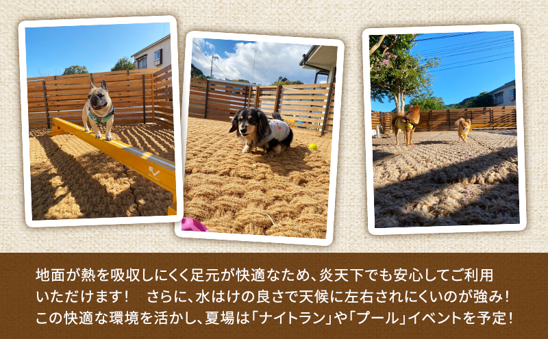 MARUMARUDOGS ドックラン 5時間利用券 1時間×5枚セット 人1人＋犬1頭 チケット 犬 ペット 体験 施設 施設利用券 ラン コイヤーグラウンド 天然素材 静岡県 河津町