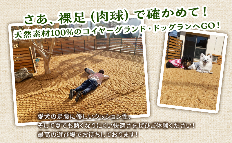 MARUMARUDOGS ドックラン 5時間利用券 1時間×5枚セット 人1人＋犬1頭 チケット 犬 ペット 体験 施設 施設利用券 ラン コイヤーグラウンド 天然素材 静岡県 河津町