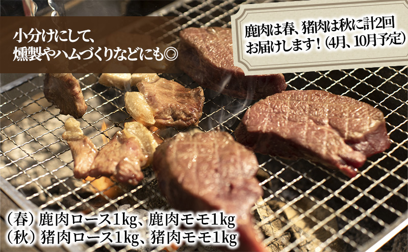 【伊豆産ジビエ肉】美味しい季節のジビエ肉定期便セット（1kg×4）