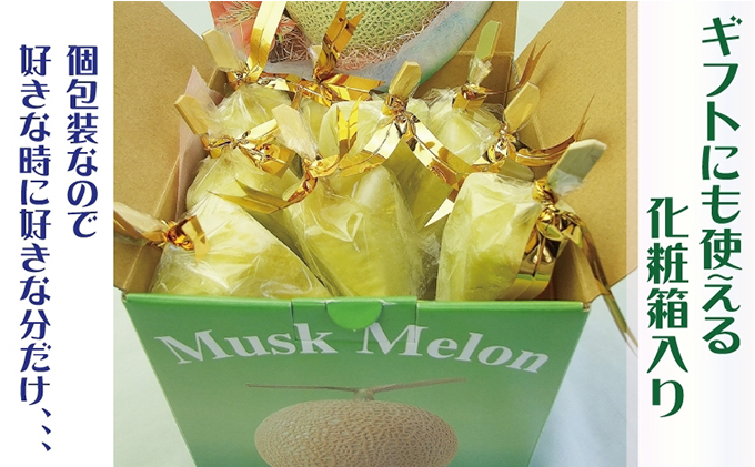 【定期便】クラウンメロン　アイススティック10本入（6か月連続お届け）