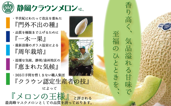 【定期便】クラウンメロン　アイススティック10本入（6か月連続お届け）