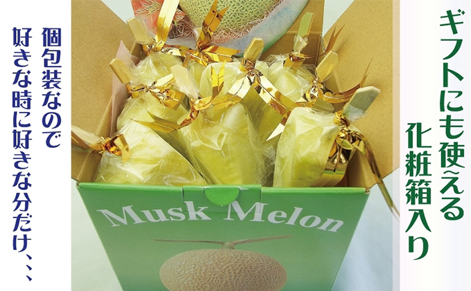 【定期便】クラウンメロン　アイススティック10本入（12か月連続お届け）