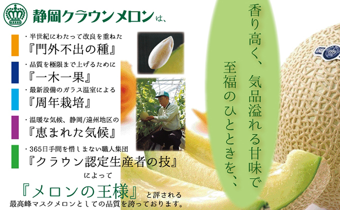 【定期便】クラウンメロン　アイススティック10本入（12か月連続お届け）