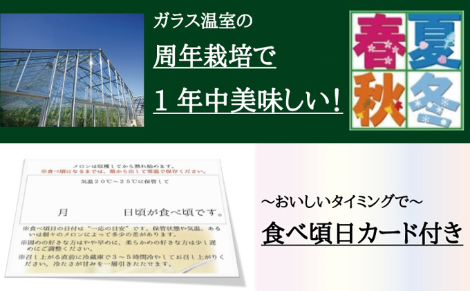 クラウンメロン 1玉 1.3kg以上 山等級 メロン 青肉 マスクメロン 山 フルーツ 果物 産地直送 高級 高級品 静岡県産 静岡