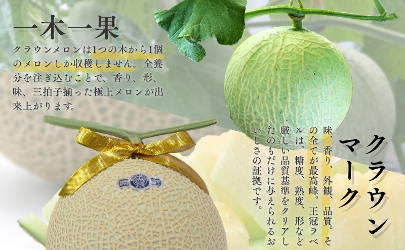 クラウンメロン【並（白等級）】中玉（1.3kg前後）1玉入り（12か月連続お届け）