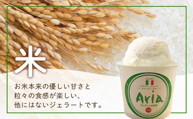 手作りジェラート 人気フレーバー6個セット（3種類×2個）アイス ジェラート 米 抹茶 煎茶 デザート スイーツ 食べ比べ セット 詰合せ 森町 静岡県