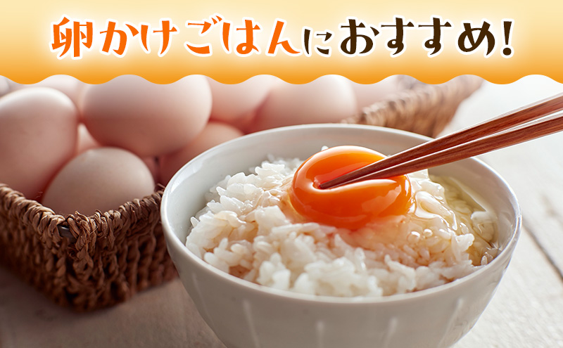 鳥骨鶏卵（30個）とプリン（3個）のセット たまご 烏骨鶏 プリン スイーツ お菓子 静岡県 森町