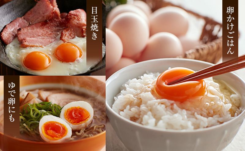 定期便 3ヵ月 卵の玉手箱（烏骨鶏入り）10個×2パック たまご 鶏卵 静岡県 森町