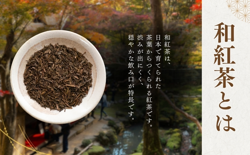 和紅茶 ティーバッグ みたらしちゃん 感謝の気持ちでいっぱいです 和紅茶ティーバッグ 2g×2ヶ入×20袋 ギフト プレゼント 日本茶 紅茶 お茶 静岡 森町