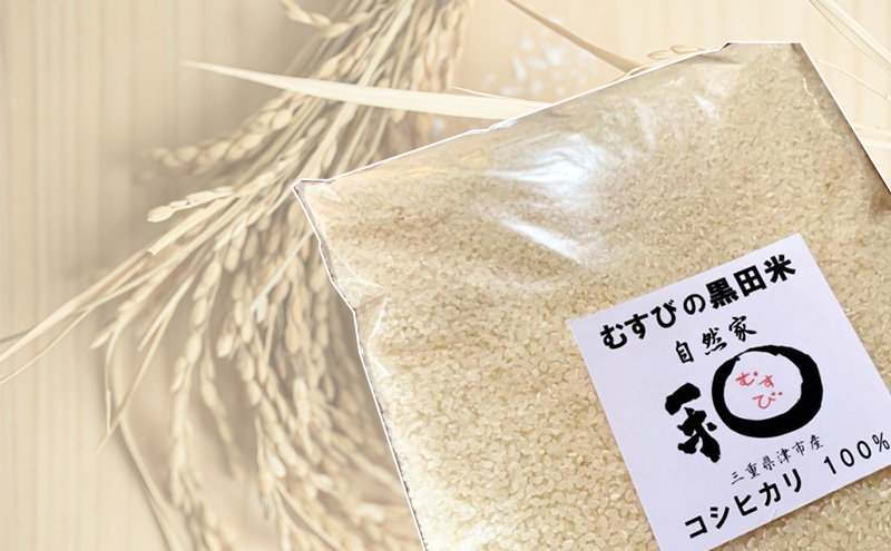 むすびの黒田米 こしひかり 10キロ [ 米 お米 10kg 5kg×2袋 コシヒカリ お弁当 おむすび 冷めても美味しい ]