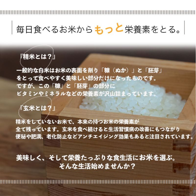 【選べる精米率】令和7年産 三重県産 コシヒカリ 5kg［白米 玄米 5分つき米 7分つき米]　玄米