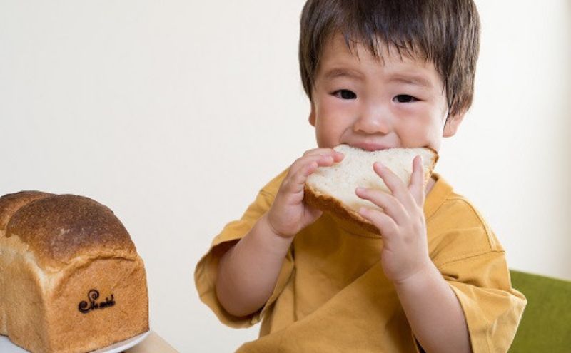 はちみつ酵母パン　ほんのり甘い食パン2本　パン ぱん トースト 朝食 おやつ はちみつ酵母