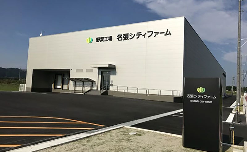 なばリーフ アソート セット フリルレタス 3p グリーンリーフレタス 2p ケール 2p 計7p入/ 水耕栽培 時短 野菜 レタス 特殊フィルム包装 新鮮 洗わずに食べられる サラダ お鍋 スープ サンドウィッチ 炒め物 煮物 サラダ 手軽 安全 安心 栄養 健康