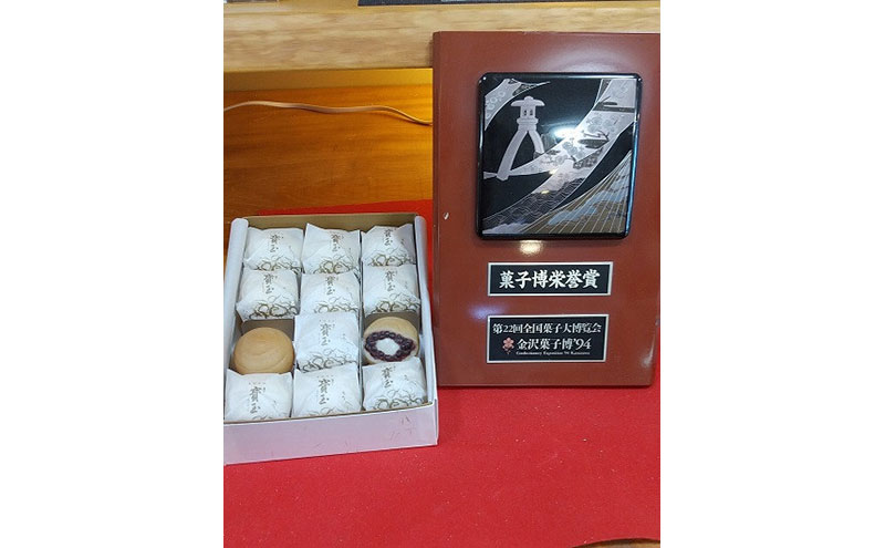 【全国菓子大博覧会「菓子博栄誉賞」受賞】 寳玉(ほうぎょく）もち入り最中　12個入り（クール便）