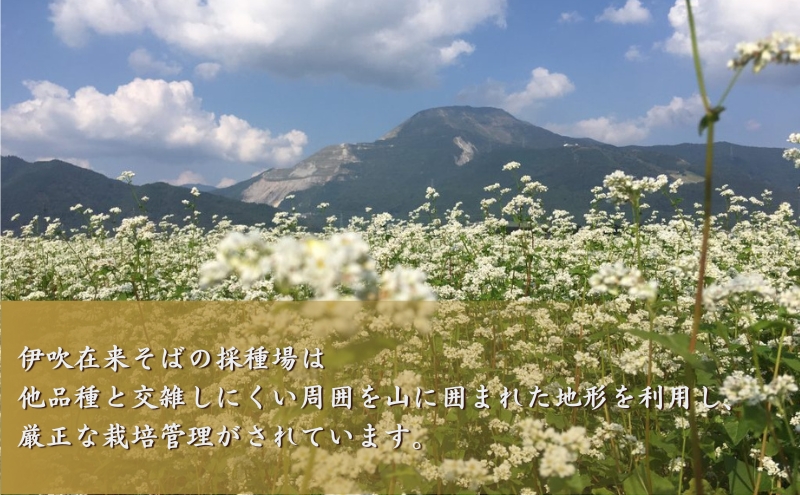 麺工房　伊吹長兵衛の伊吹在来そば　十割伊吹そば尽くし2セット