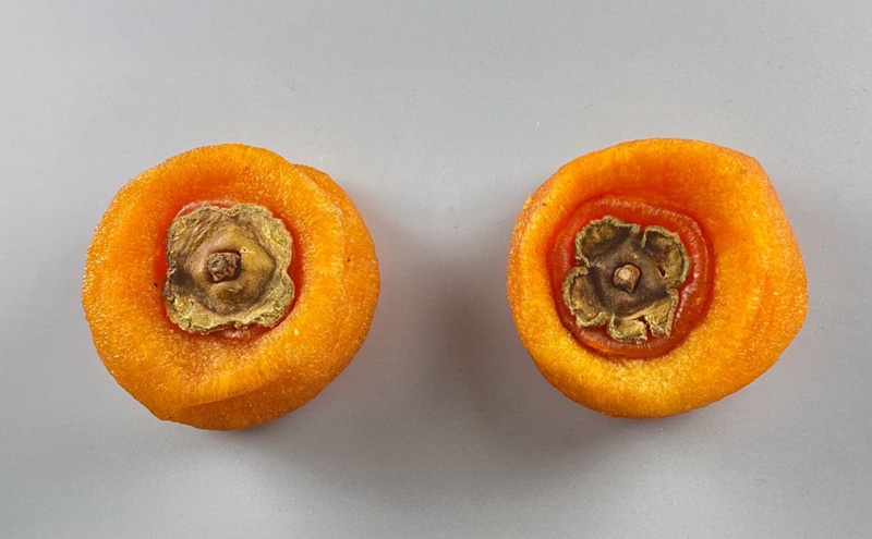 伊吹名産平核無柿の柿ドライ