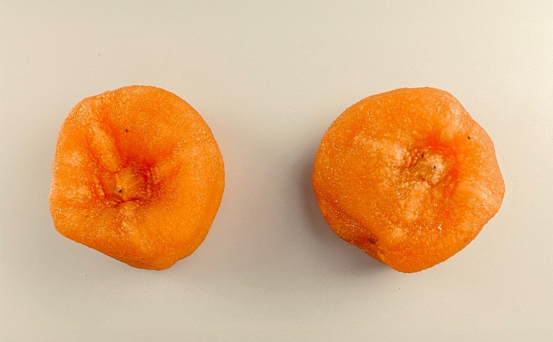 伊吹名産平核無柿の柿ドライ