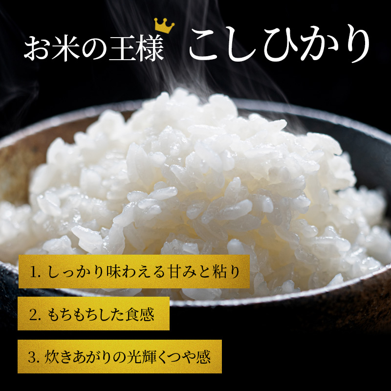 【令和7年産新米】滋賀県産こしひかり BG無洗米 5kg 無洗米 お米 コメ おこめ 白米 コシヒカリ