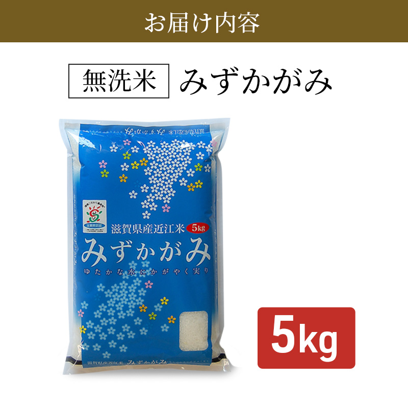 【令和7年産新米】滋賀県産 みずかがみ BG無洗米 5kg お米