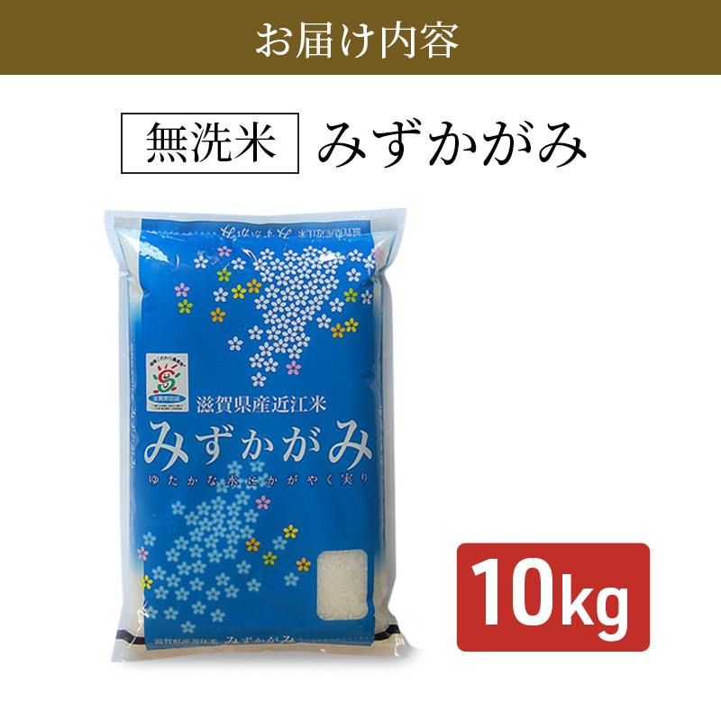 【令和7年産新米】滋賀県産 みずかがみ BG無洗米 10kg 無洗米 お米 こめ おこめ 白米