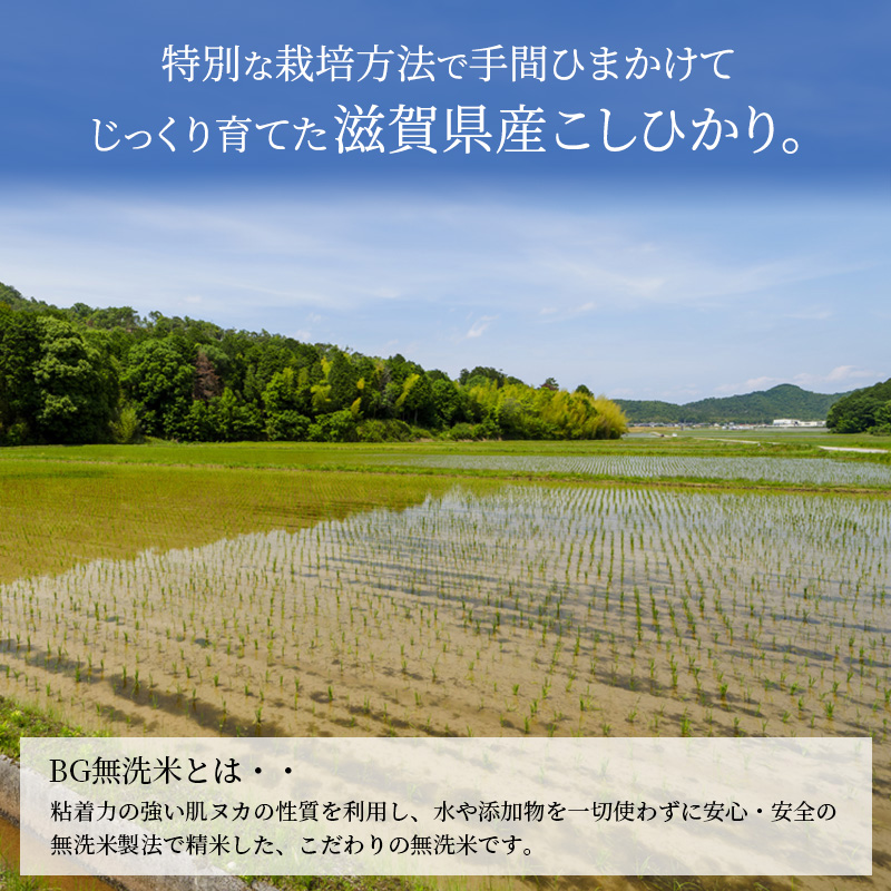 【令和7年産新米】滋賀県産 定期便 10ヶ月 こしひかり BG無洗米 5kg ふるさと応援特別米 無洗米 お米 こめ コメ おこめ 白米 コシヒカリ 10回 お楽しみ