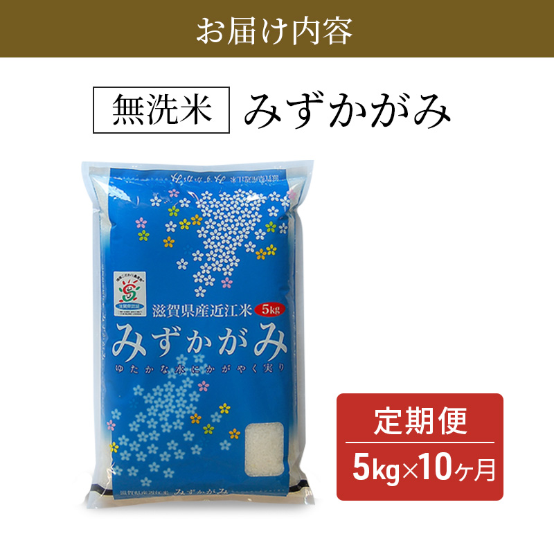 【令和7年産新米】滋賀県産 定期便 10ヶ月 みずかがみ BG無洗米 5kg ふるさと応援特別米 無洗米 お米 こめ コメ おこめ 白米 10回 お楽しみ
