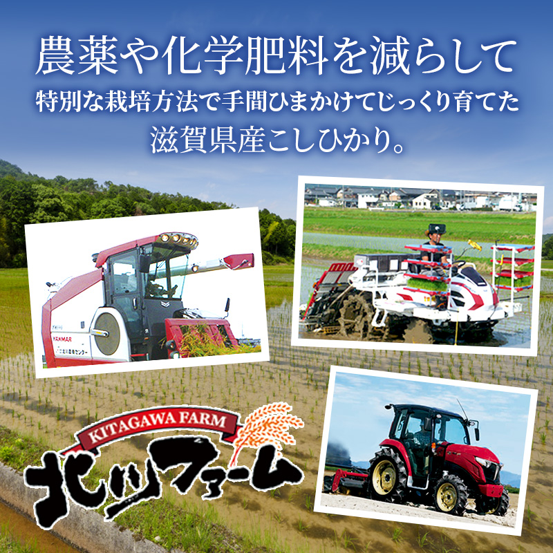 米 高級もち米 3kg 令和6年産 お米 こめ コメ おこめ: 豊郷町ANAのふるさと納税