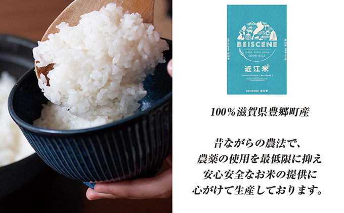 特A受賞歴 定期便 みずかがみ 5kg×10ヶ月 令和7年産 滋賀県豊郷町産 近江米 お米 白米 ごはん ライス 主食 炭水化物 おにぎり 定期 10回