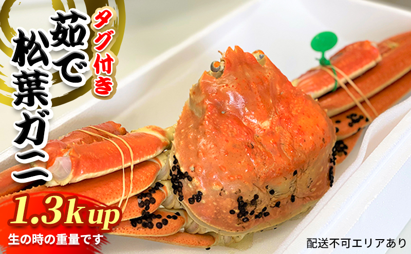 松葉ガニ　茹で　タグ付き　1.3kg up《2024年11月中旬～12月中旬、もしくは、2025年1月中旬以降以降順次発送》