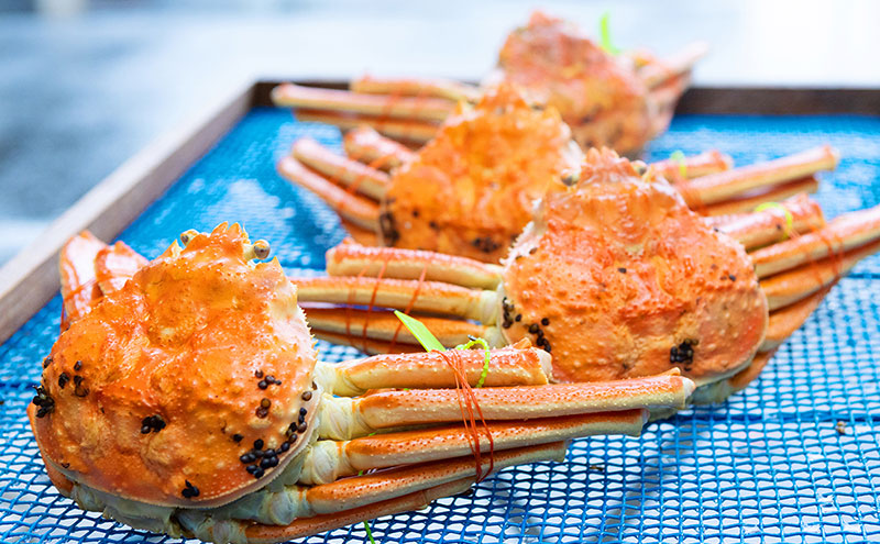 【配送日指定可】【数量限定】夫婦蟹 甲羅盛セット 松葉蟹 ほぐし身（大）※活き蟹（900g級）とコッペがに（中サイズ3個）