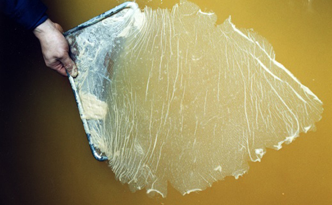 紅芋酢500ml 6本セット 飯尾醸造 お酢 国産 健康ドリンク 美容 酢漬け ドレッシング 発酵 熟成