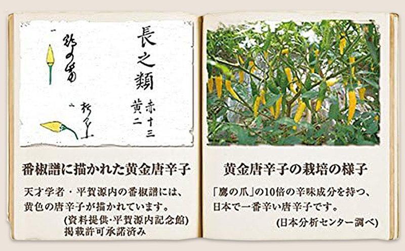 祇園味幸 京都 黄金一味　2袋 日本一辛い (国内旅行 日本 お土産）