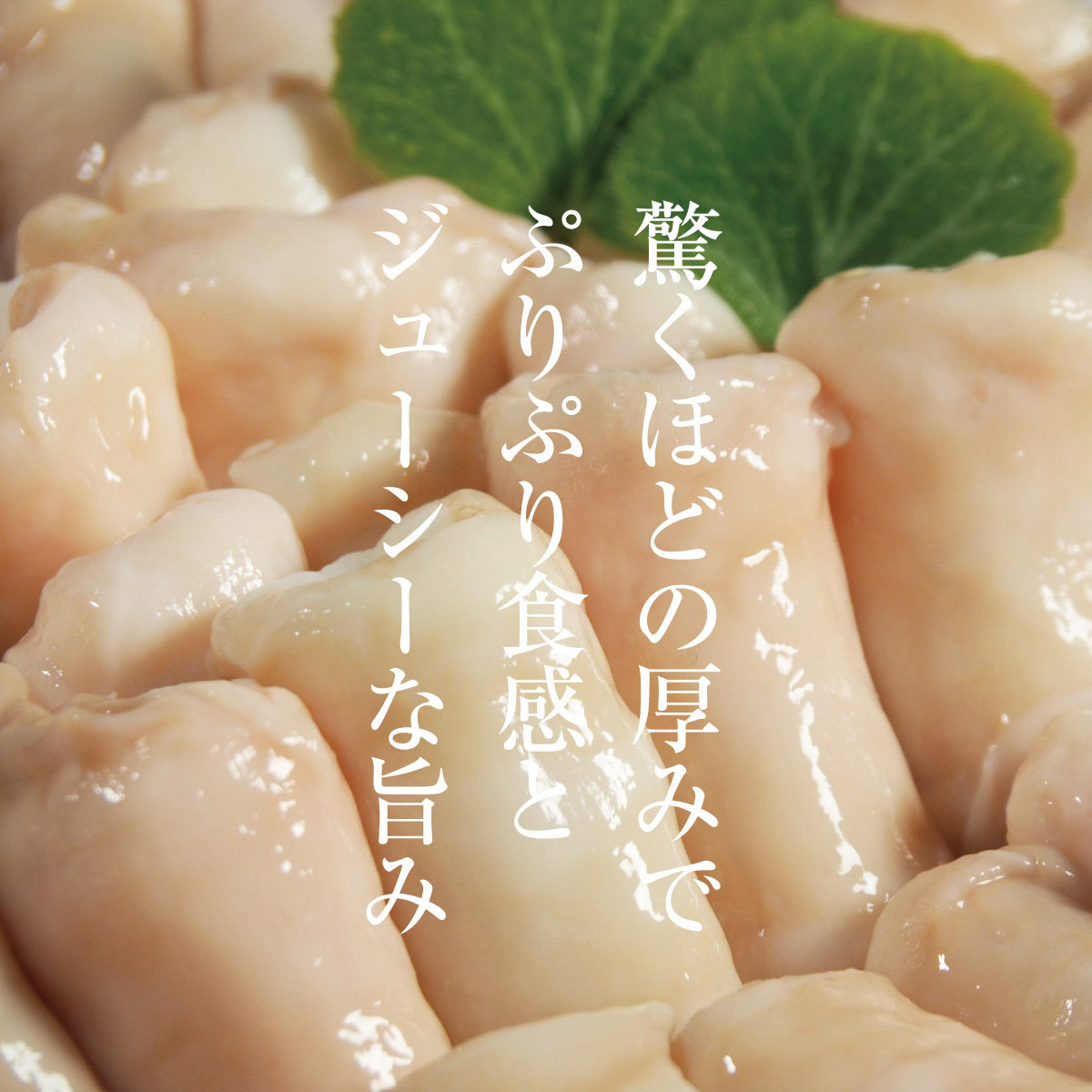 牛肉 京都もり牛 和牛 ホルモン 1kg 小分け 京都府産 国産 国産牛 黒毛和牛 小腸 焼き肉 焼肉 BBQ バーベキュー もつ もつ鍋 鍋 お肉 牛 肉 ブランド ギフト 冷凍 京都 牛肉/ホルモン