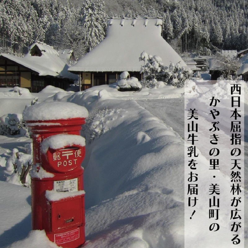 牛乳 京都 美山牛乳 200ml ×10本 セット 美山町 お取り寄せ パック 紙パック 200mL ※北海道・沖縄・離島への発送不可