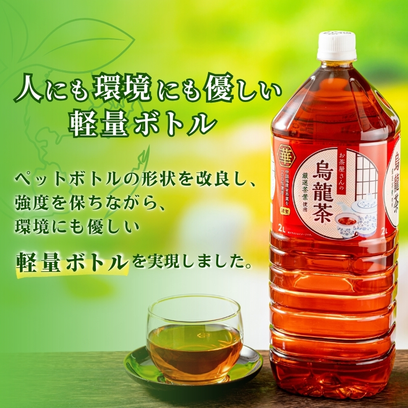 【ふるさと納税】【3回定期】烏龍茶 ウーロン茶 2L 12本 飲み物 飲料 ドリンク 水分補給 ヘルシー 食事のおともに 飲料類 お茶 ソフトドリンク 厳選茶葉 旨味 純水仕立て ストック