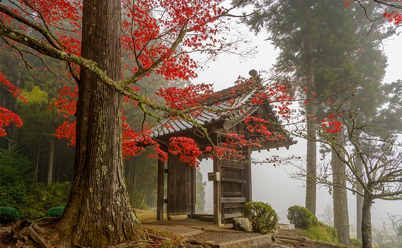 南丹市への応援寄附（お礼の品なし） 自治体自治体にお任せ