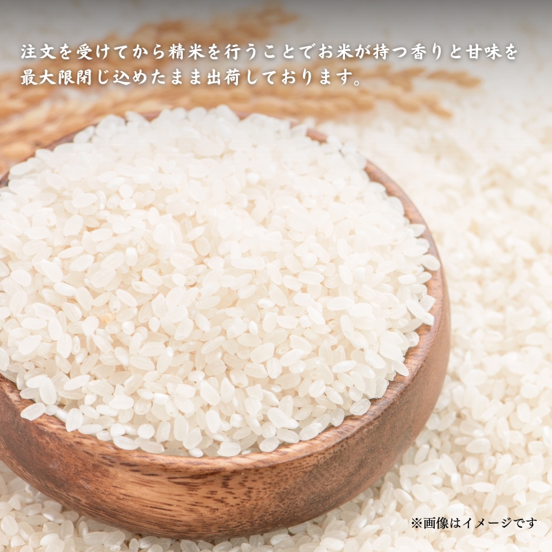 令和7年度産 新米予約 にじのきらめき 5kg 美山町産 こと美山米 特別栽培米【2025年11月以降順次発送】