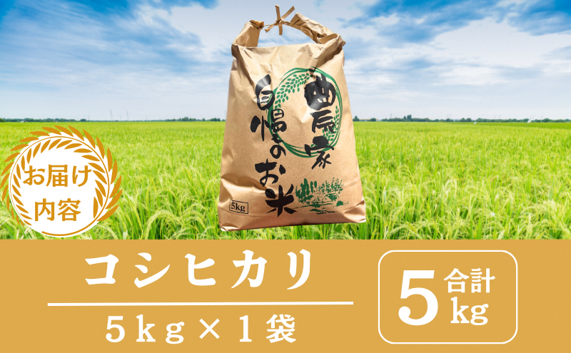 令和7年産先行予約 京都美山産コシヒカリ 5kg　こしひかり 精米 コメ こめ お米 単一原料米 ごはん ご飯 京都