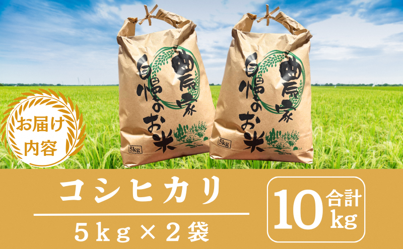 令和7年産先行予約 京都美山産コシヒカリ 10kg　こしひかり 精米 コメ こめ お米 単一原料米 ごはん ご飯 京都