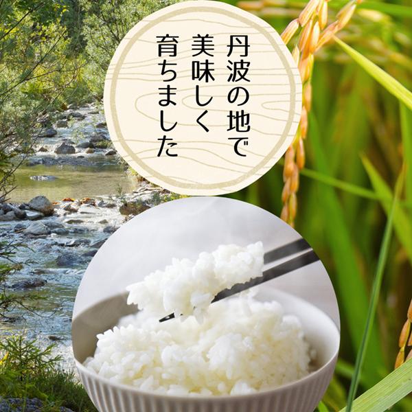 令和7年産 京都丹波産 コシヒカリ 10kg　白米