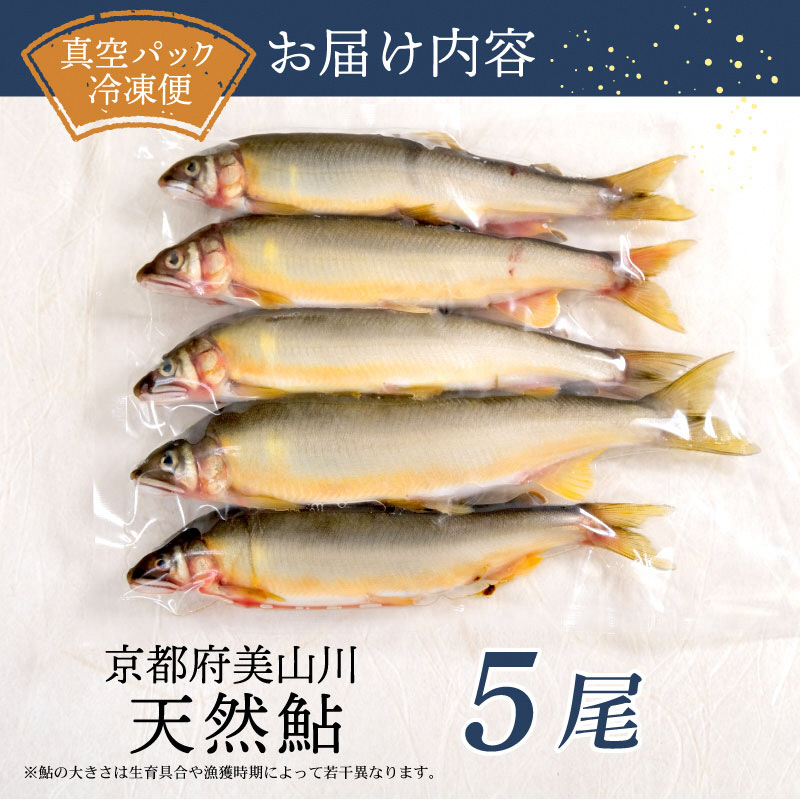 冷凍 美山川の天然鮎 5匹 | 魚 さかな 天然 鮎 川魚 料理 京都 南丹市