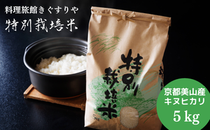 令和7年産新米 キヌヒカリ 5kg (玄米) 明田のお米: 南丹市ANAの