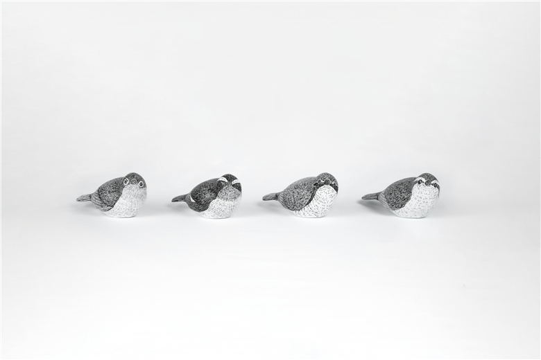 3-Draw series “small bird コルリ”