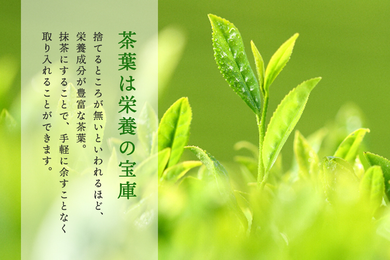 お抹茶いっぷくセット(30ｇ缶入、いっぷく碗2客、茶せん、茶杓)〈宇治抹茶 抹茶 お抹茶 お茶 茶 粉末 茶道 抹茶セット 飲料 加工食品 工芸品〉