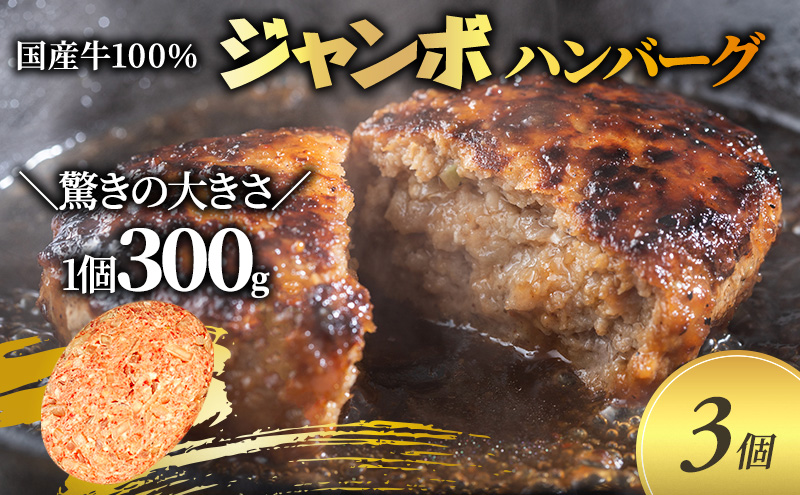 ジャンボ ハンバーグ 300g 3個 セット 国産 牛壱 国産牛100% 冷凍 惣菜 おかず 真空パック 煮込みハンバーグ お肉 肉 牛肉 牛 淡路島 たまねぎ 手作り ギフト 贈り物 プレゼント 大阪 柏原市