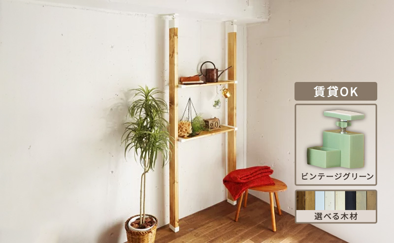 ワンバイエイト　LABRICO棚セットM　アジャスター：ヴィンテージグリーン×無塗装