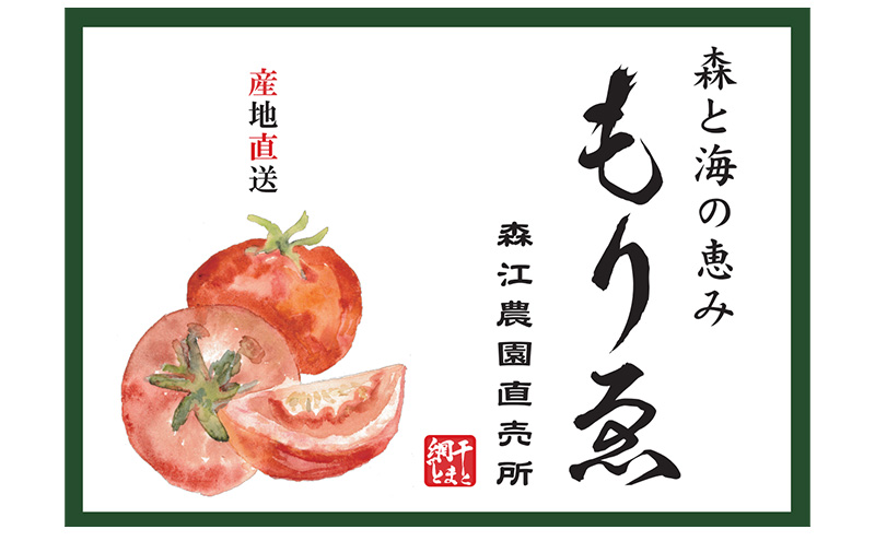 【11月中旬以降順次出荷】もりゑとまと　詰合せ [ 大玉 トマト とまと 高糖度 産地直送 野菜 ]
