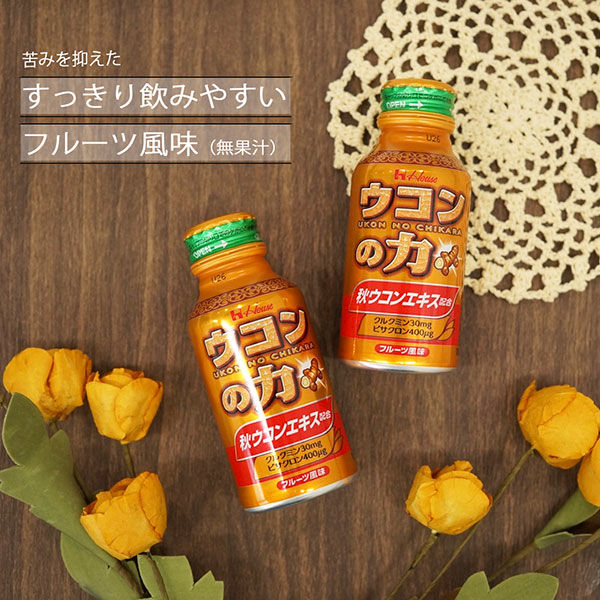 ハウスウェルネスフーズ ウコンの力 100ml 1セット( 60缶 ハウスウェルネスフーズ ウコンの力 100ml 1セット( 60缶