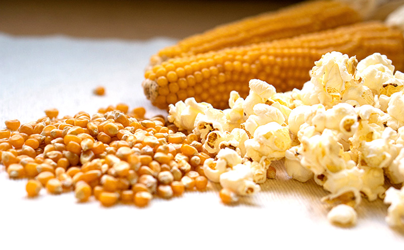 みんなでつまめるワクワク おうちでシネマサイズポップコーン(しお味43g キャラメル味65g)×2個とケトルパップコーン×3個［ ポップコーン お菓子 スイーツ 詰め合わせ 食べ比べ ］